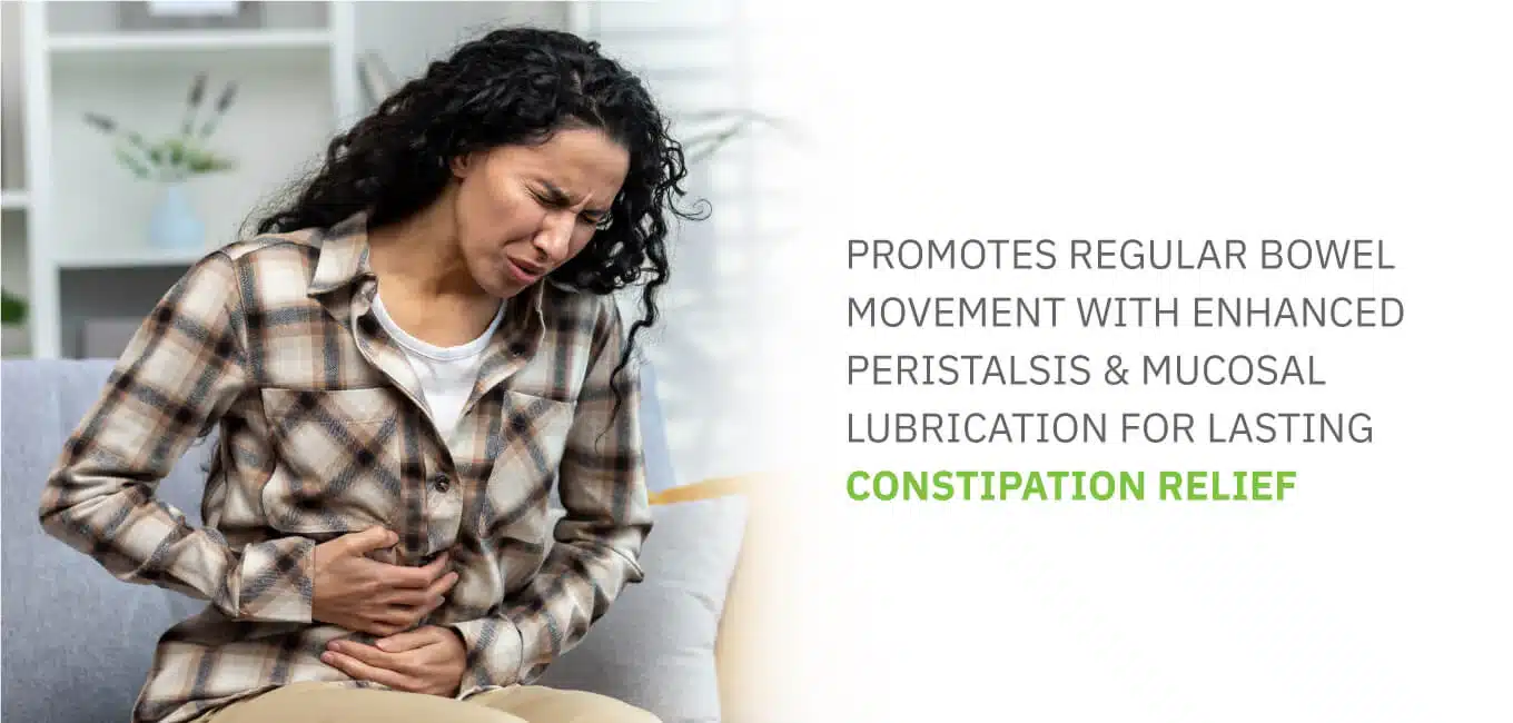 thioquest_DESKTOP-banner_1