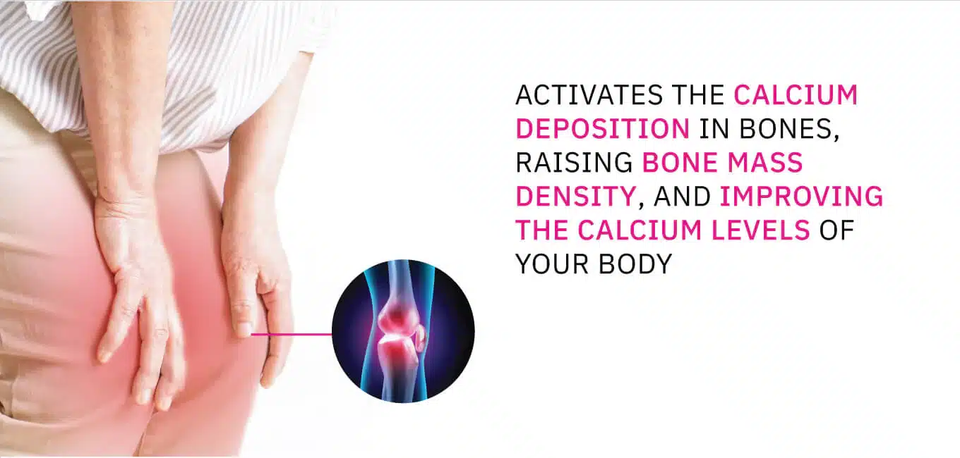 thioquest_DESKTOP-banner_1