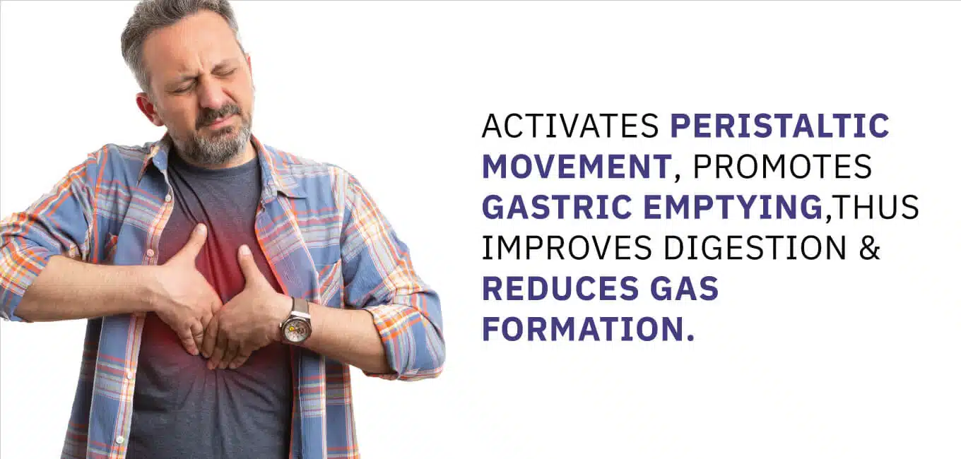 thioquest_DESKTOP-banner_1