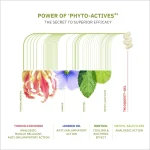 Thioquest ingredients 5 1