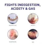 1000X1000 PHYTOCID GT LISTING 06 1